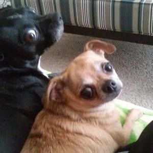 Meet your Posher, Rita